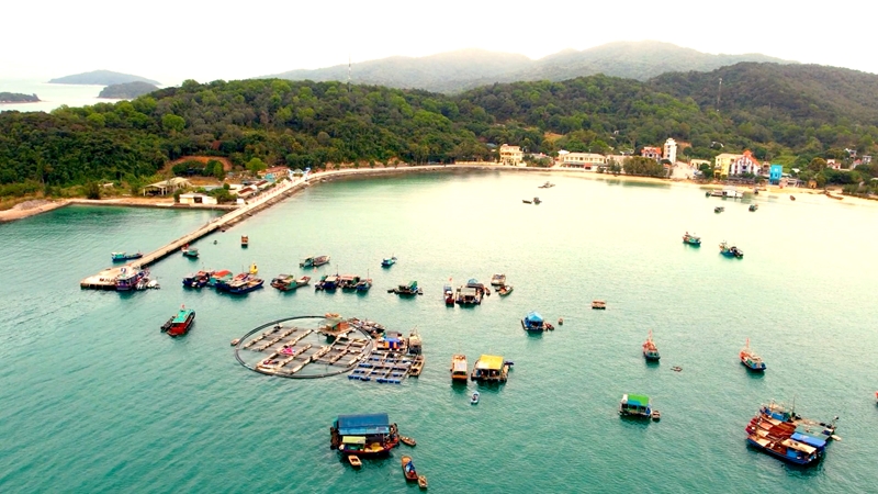  Một mô hình phát triển dựa trên kinh tế biển xanh ở Thanh Lân, Cô Tô.