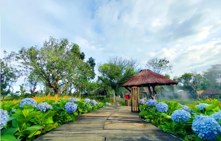 vườn hoa cô tô